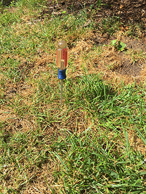 A screwdriver embedded in the dirt