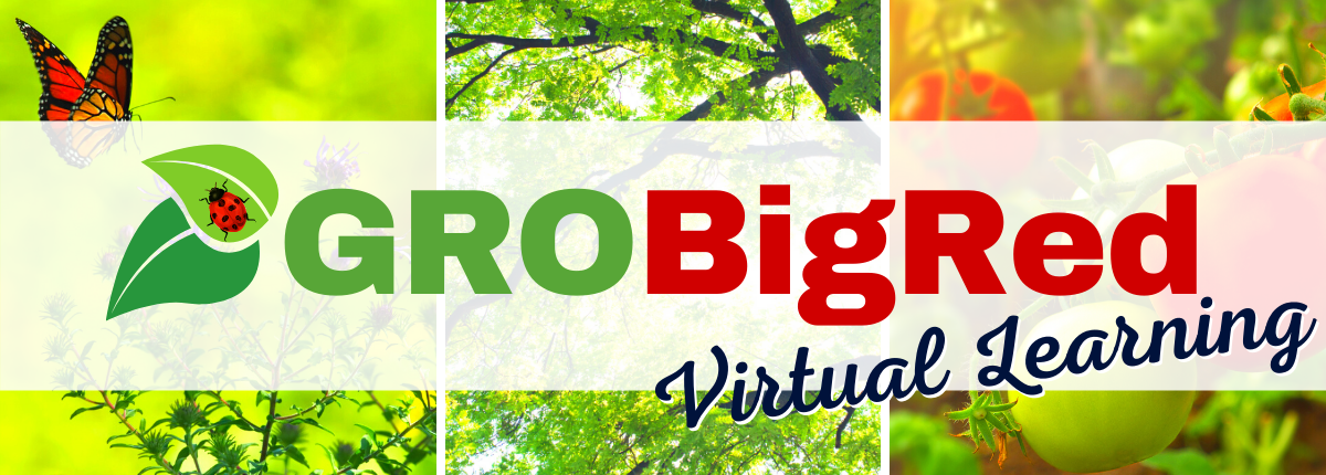 GRO Big Red Virtual Program Series