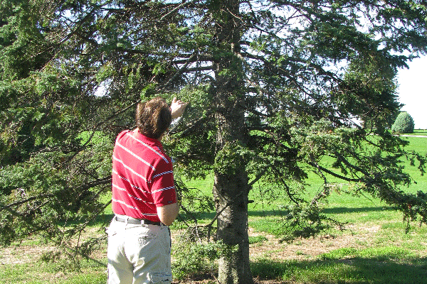 Remove All of the Trees on Your Property!….well, at least some of them., Nebraska Extension Acreage Insights for May 1, 2018, http://communityenvironment.unl.edu/hazard-trees