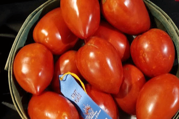 Growing the Best Tomatoes: Choosing Cultivars and Varieties, Nebraska Extension Acreage Insights for May 1, 2018, http://communityenvironment.unl.edu/growing-best-tomatoes