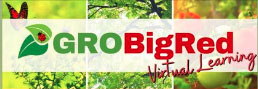 Gro Big Red Virtual Learning