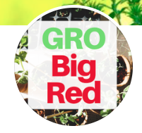 Image of GRO Big Red program logo. 
