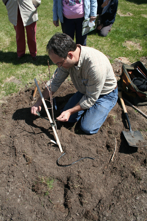 Eric Berg, Nebraska Forest Service, demonstrates proper tree planting.