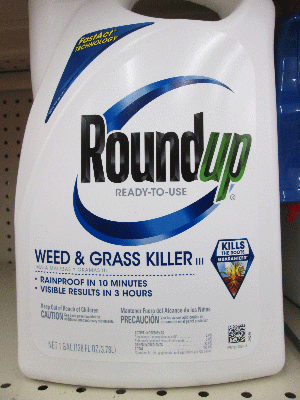 Traditional Roundup Weed and Grass Killer.