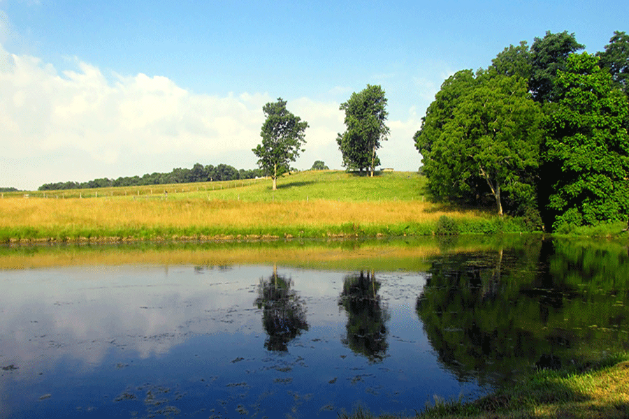 Image of acreage pond